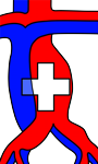 Schweizerische Gesellschaft für Gefässchirurgie logo